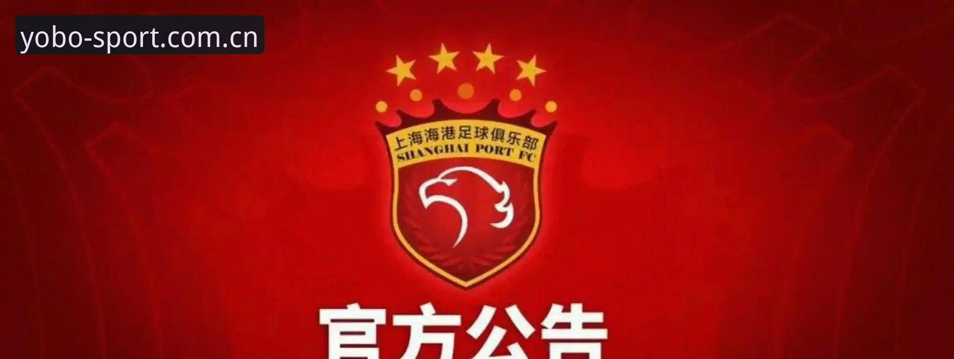 YOBOSPORTS高清直播 中国足协第三批禁足名单深度解读:在YOBOSPORTS高清直播平台见证足球反腐新篇章